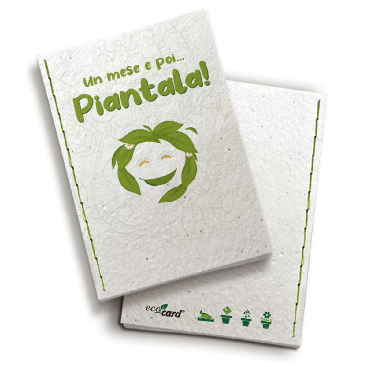 Eco Card La Carta Con Semi Piantabile Dai Mille Utilizzi Abc Gadgets 6081