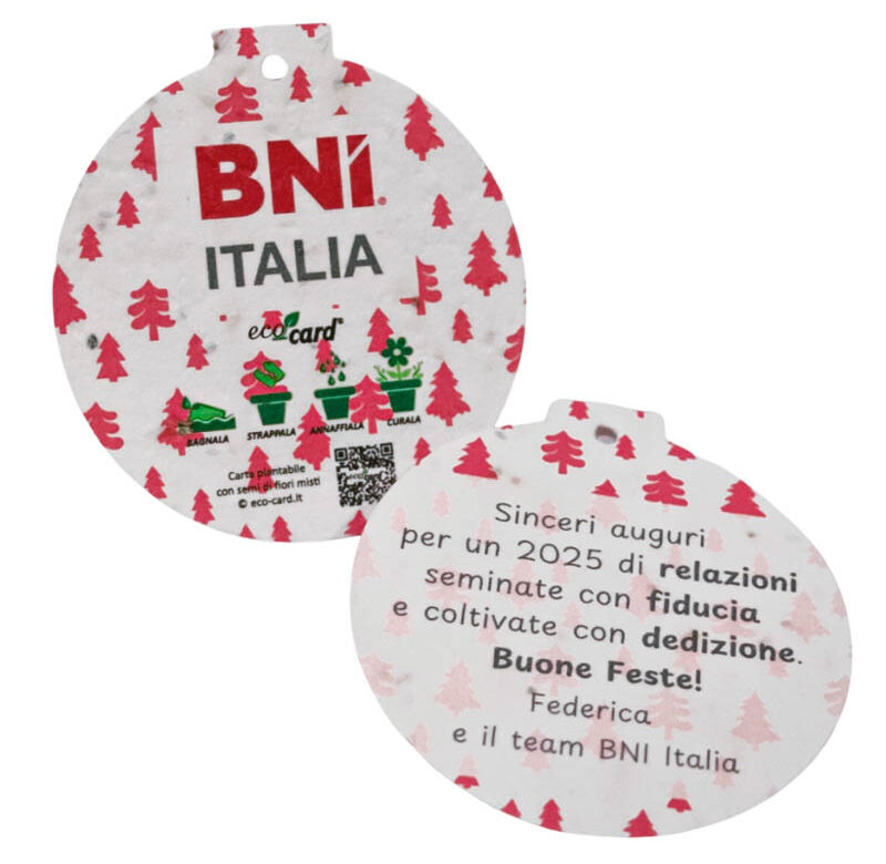 Decorazione natalizia con semi personalizzata per BNI Italia